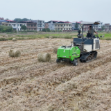 “稻稻菌”循环模式 解锁乡村振兴新密码