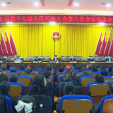 聚焦两会丨安仁县第十七届人民代表大会第六次会议举行预备会议