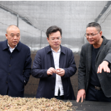 招商脚步不停歇 共谋发展新机遇