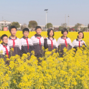 “赶分社”预热活动成效显著 旅游人气持续攀升