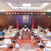 县委常委会召开2025年第20次会议