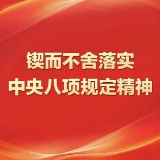 【锲而不舍落实中央八项规定精神】金紫仙镇：深化作风建设办实事 民生工程暖民心