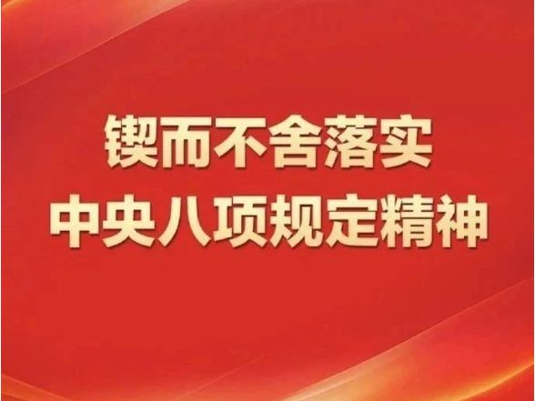 锲而不舍落实中央八项规定精神丨动真碰硬推动真查实改