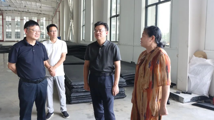 全力招大引强 精准为企纾困