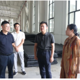 全力招大引强 精准为企纾困