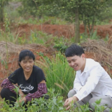 青年人才王飞：深植乡土 用中草药研发创新带动乡村振兴