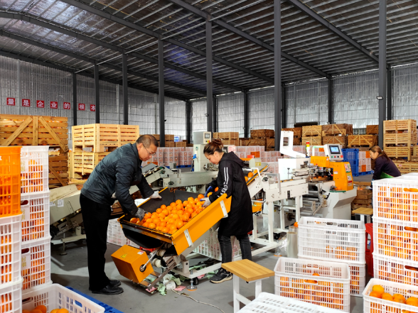 “郴品郴味”抢桌上位