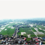 牌楼乡：两村跻身省级和美乡村重点村 乡村振兴迎来“加速跑”