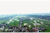 牌楼乡：两村跻身省级和美乡村重点村 乡村振兴迎来“加速跑”