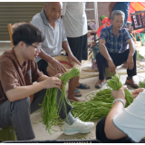 渡口乡过家村:豆角产业助农增收 订单模式铺就致富路