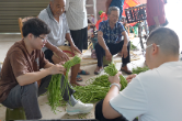渡口乡过家村：豆角产业助农增收 订单模式铺就致富路