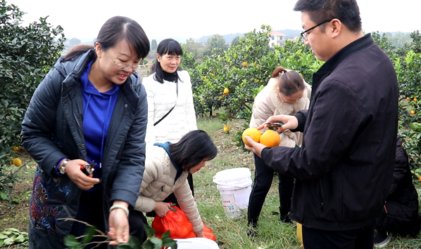 道县：大学生返乡当果农 带领村民奔富路