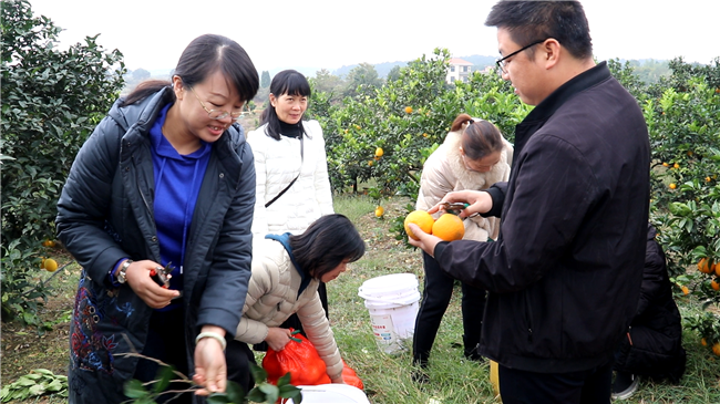 1201道县：大学生返乡当果农 带领村民奔富路 (2)_副本.bmp