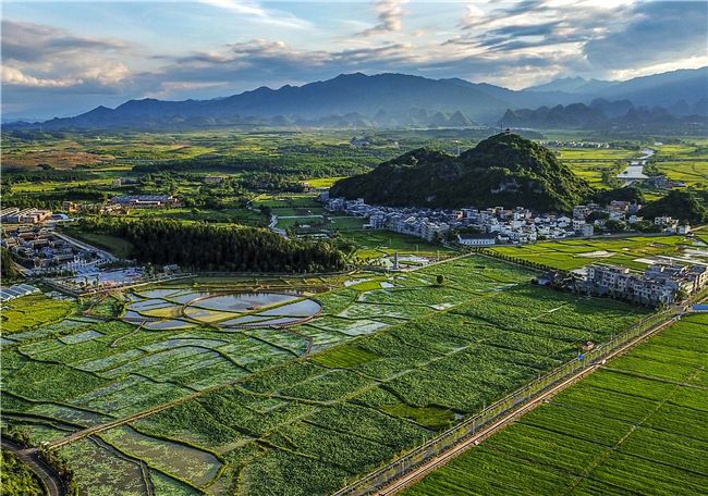 1203道县：“六大强农行动”助推乡村振兴01_副本.jpg