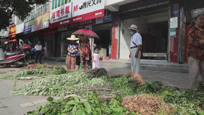 道县：端午佳节风药飘香