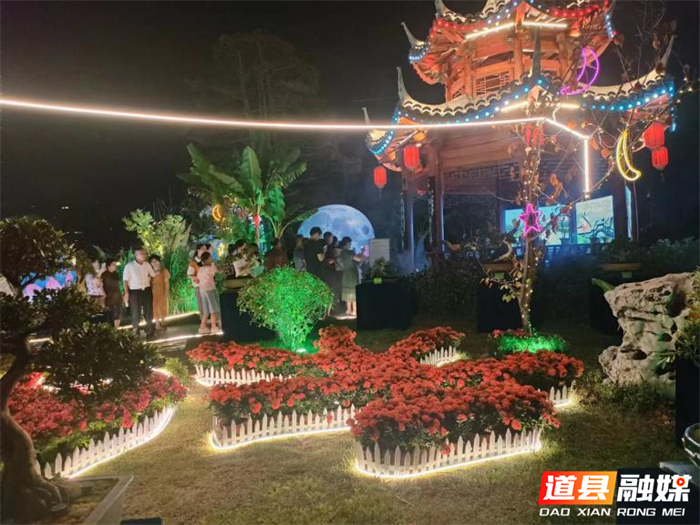 1101道县参展永州市首届花博会获奖3项03_副本.png