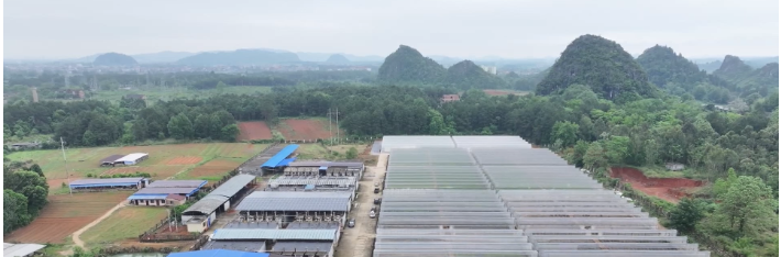 视频 | 道县：闲置设施再利用  一棚多用巧助农