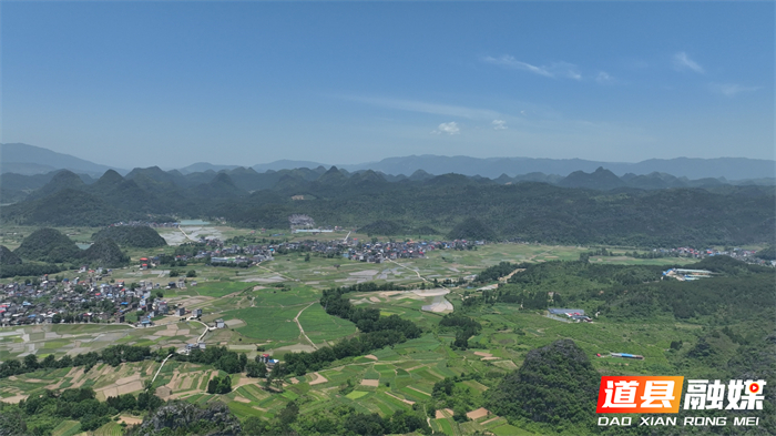 0516道县：袖珍小蟠桃抢“鲜”上市 开启舌尖上的甜蜜夏日 (1)_副本.jpg