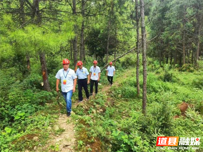 0810道县施行林长制推进林业高质量发展01_副本1.png 0810道县施行林长制推进林业高质量发展01_副本1.png