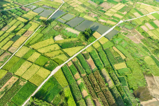 道县：良田阡陌绘“丰”景（组图新闻）