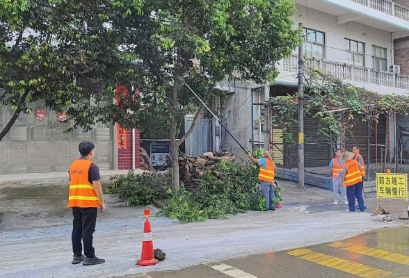 道县公路部门：开展路域环境治理  为“双节”保驾护航