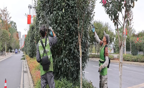 视频 | 道县：修剪绿化迎双节  扮靓城市焕新颜