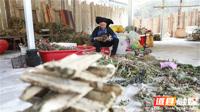 江华：端午节 百岁老瑶医火爆出圈[00-03-47--00-03-50].jpg