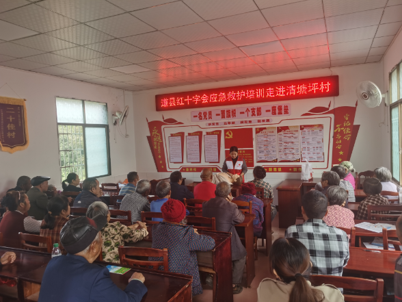 道县住建局驻村工作队：重阳佳节暖人心 培训义诊送健康