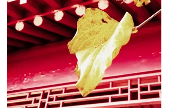 道县：初冬时节彩叶斑斓（组图）