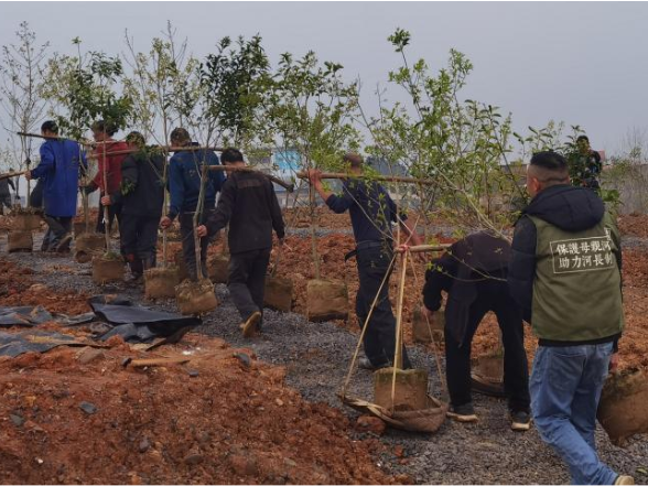 道县林业部门多举措营造良好营商环境