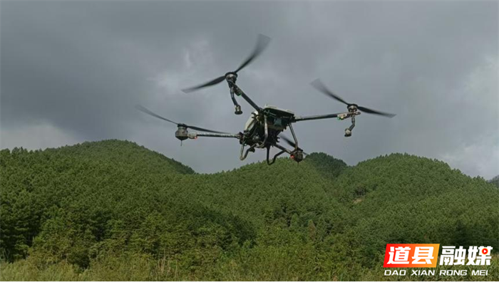 1108道县积极防控林木病虫 保护森林资源安全03_副本1.png 1108道县积极防控林木病虫 保护森林资源安全03_副本1.png