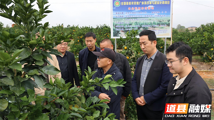 1108道县“产业+传播”双轨服务 为乡村振兴注入新动能0002_副本1.jpg 1108道县“产业+传播”双轨服务 为乡村振兴注入新动能0002_副本1.jpg