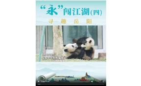 “永”闯江湖（四） 寻趣岳阳