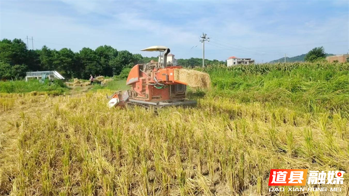 0819道县万家庄街道七一村：秸秆回收再利用 生态经济双丰收02_副本.png