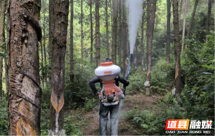 0821道县：积极防控林业有害生物01_副本.png