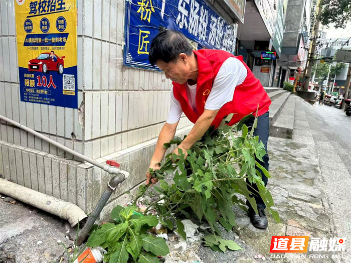 0822道县供销社积极开展基孔肯雅热和登革热防控宣传及环境整治活动02_副本.png