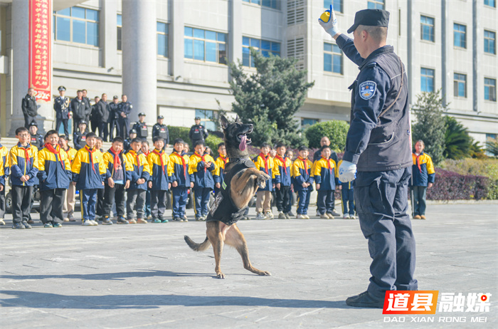 2026年1月8日，湖南省永州市道县公安局举行庆祝中国人民警察节活动。第6个中国人民警察节临近，道县公安局通过升警旗仪式、重温入警誓词以及警营开放日活动等多种形式迎接中国人民警察节的到来。