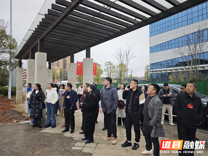 0126道县政协委员集中视察重点项目建设 凝心聚力促发展02_副本1.jpg