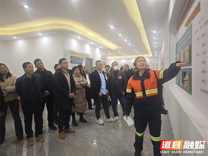 0126道县政协委员集中视察重点项目建设 凝心聚力促发展01_副本1.jpg