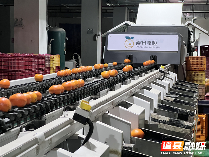 0108“广告牌狂飙”燃起跨省情谊 永州道县千里送橙 答谢苏鄂球迷深情厚谊04_副本1.jpg