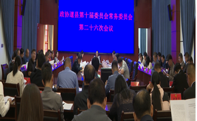 视频 | 政协道县第十届委员会常务委员会第二十六次会议召开