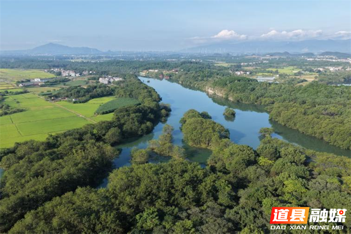 1019道县:林长制夯实生态向好之基01_副本.png 1019道县:林长制夯实生态向好之基01_副本.png