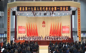 视频 | 县十九届人大一次会议胜利闭幕