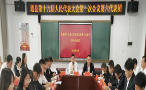 视频 | 刘华中参加县十九届人大一次会议第六代表团讨论 