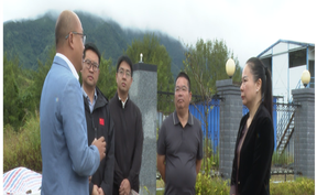 视频 | 王小丽调研督导生态环保重点工作