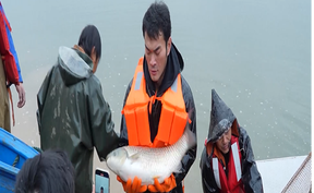 视频 | 道县举办首届“乡村捕鱼节”“鱼宴辞年”展现“鱼”众不同的乡土年味