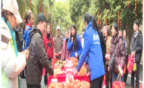 视频 | 跨越山海赴新春之约  江苏三十余台自驾车队做客道县沉浸体验民俗文化