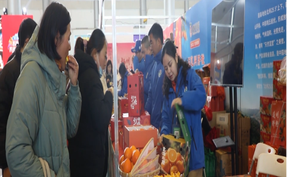 视频 | 道县特色农产品亮相扬州年货市集 湘味飘香受热捧