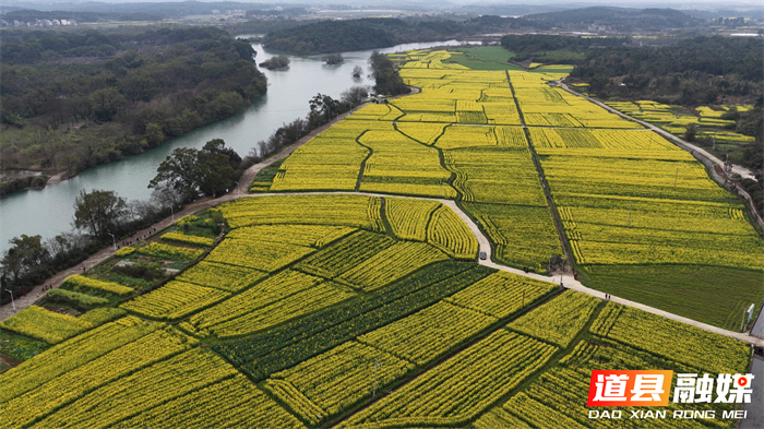 0311道县：油菜花海“丰” 景如画  赏花踏青带热乡村春游 (1)_副本.jpg