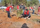 春风催新绿植树正当时——道县白马渡镇开展义务植树活动